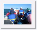 Day6-AM-GuerroNegro - 01 * Yesterday's calm water luck did not hold but at least we have proper seat cushions. * Yesterday's calm water luck did not hold but at least we have proper seat cushions.